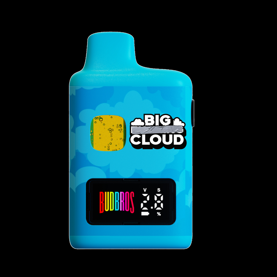 Big Cloud 2G device